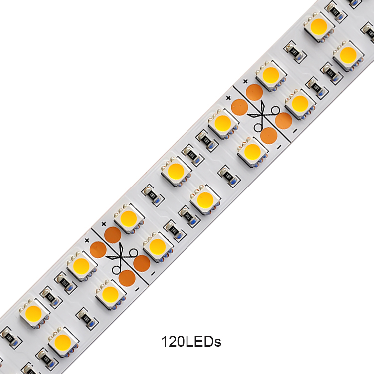 Strisce LED da Giardino Impermeabile Alta Luminosità Doppio 12V Blu SMD 5050